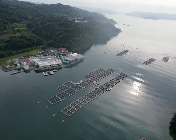 鷹島栽培センター