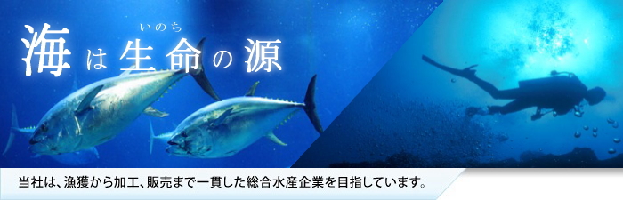 海は生命の源－当社は、漁獲から加工、販売まで一貫した総合水産企業を目指しています。